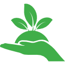 plant-on-a-hand